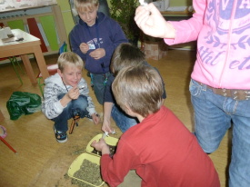 Ostrůvek (39)