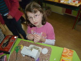 Ostrůvek (40)