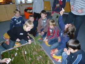 Ostrůvek (71)
