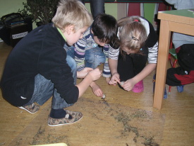 Ostrůvek (141)